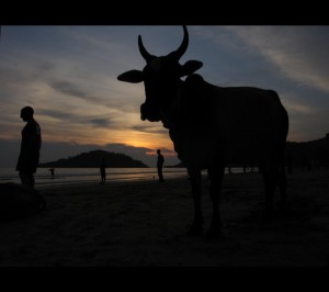 Palolem, Goa, India 2005   
